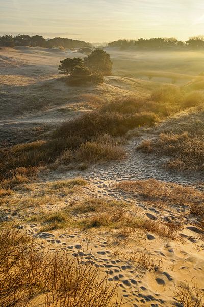 Sunrise in the dunes by Dirk van Egmond