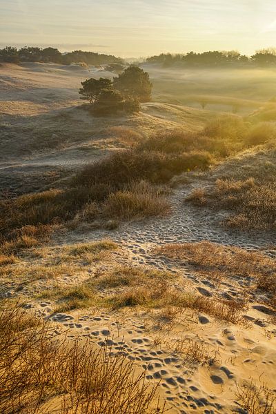 Sonnenaufgang in den Dünen von Dirk van Egmond