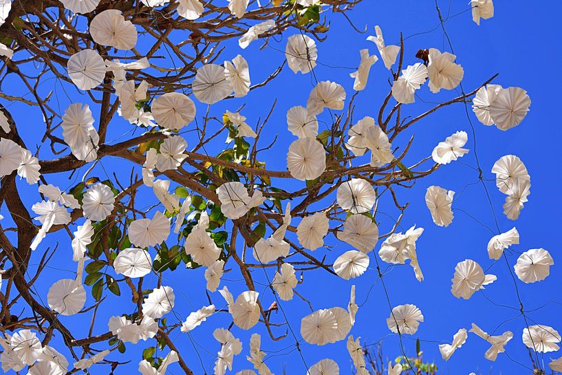 Flower decoration Funchal Madeira by Rob Walburg