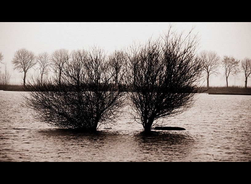 Hoog Water von Harold Wilke