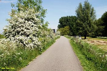 IJsselstein Hoogland (Schwarzer Deich)