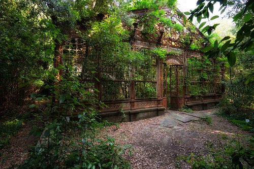 The Greenhouse 8