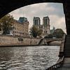 Notre Dame van Paul Poot