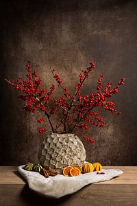 Modern stilleven met rode bessen en gedroogd fruit