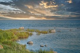 Paysage côtier avec la mer et des buissons sous un ciel bleu sur Martin Köbsch