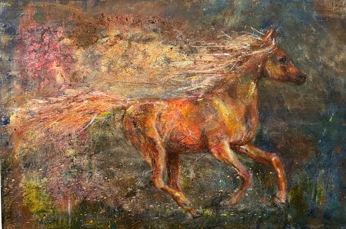 Horse: Spirit of Freedom