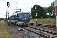 Train de chameaux