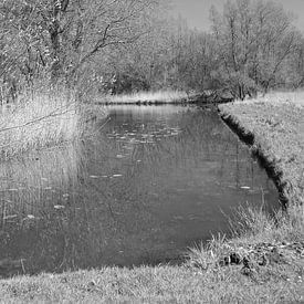 Wandeling door Biesbosch von Joyce Loffeld