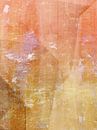 Beleuchtet von der Sonne von FRESH Fine Art Miniaturansicht