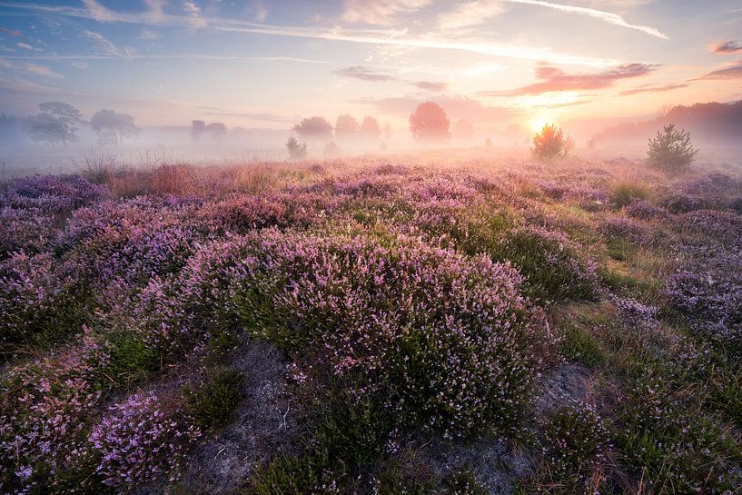 Soft Sunset by Max ter Burg Fotografie
