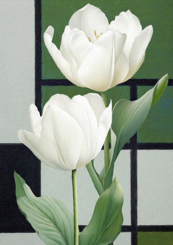White Tulips on Green