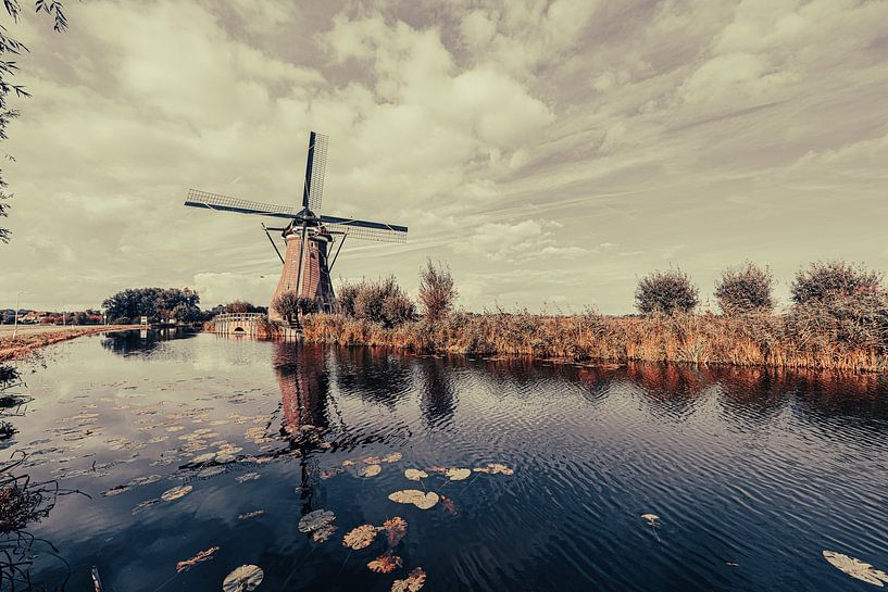 Windmill at the Vaart by Brian Morgan