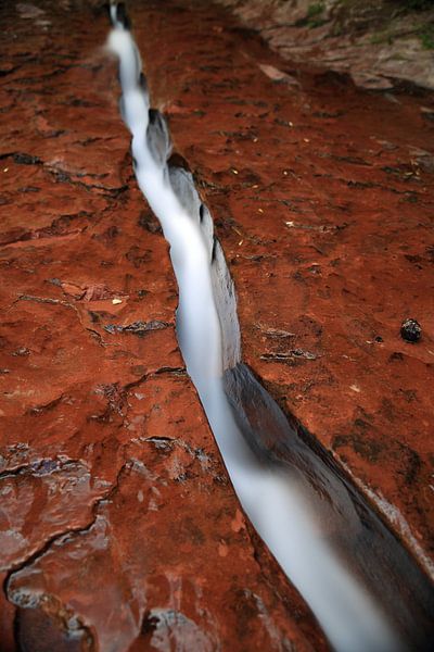 Water flowing through fissure in red rock, Zion National Park, Utah von Frank Fichtmüller
