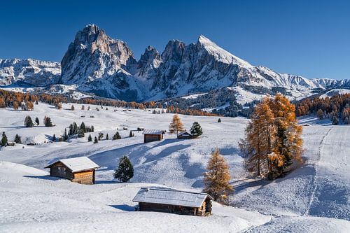 Vue panoramique sur le Langkofel et romantisme des refuges sur l'Alpe de Siusi en automne et sous la neige dans le Tyrol du Sud.