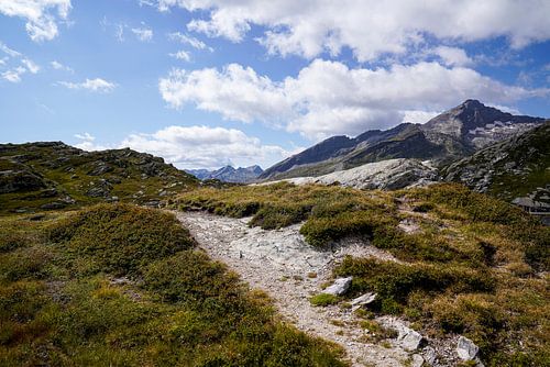 Zomers berglandschap in Zwitserland met groene alpenweiden en markante bergtoppen.