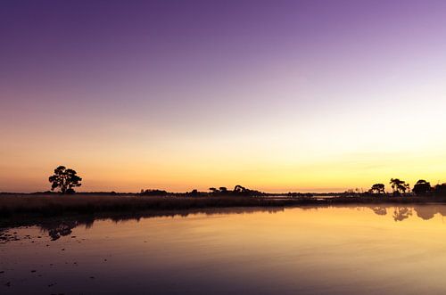 Strabrechtse Heide 152