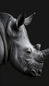 im Profil Rhino