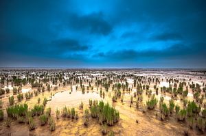 Das Wattenmeer