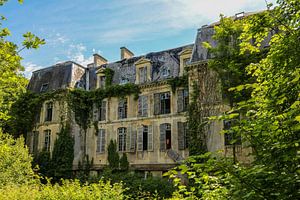 La nature reprend le château.