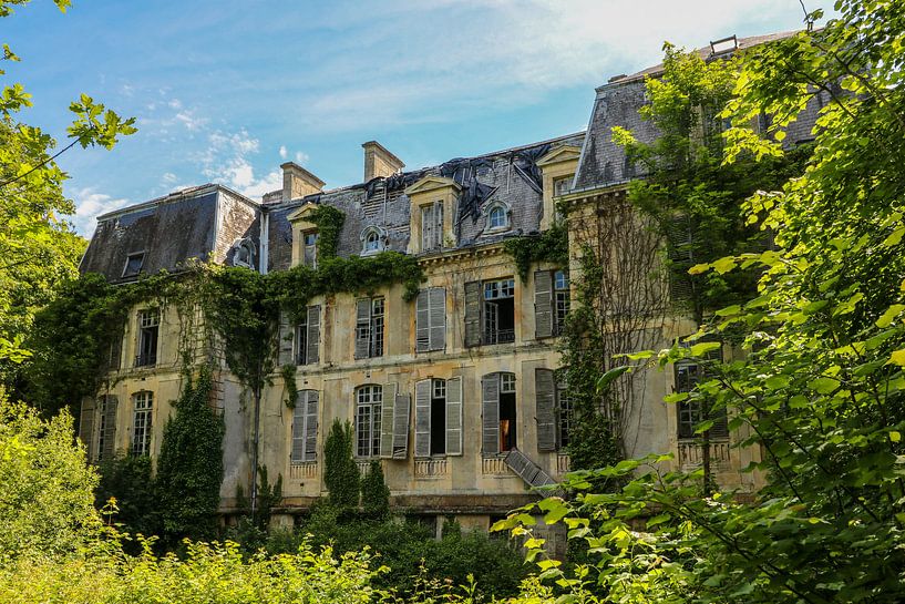 Nature takes over the chateau. by Patrick Löbler