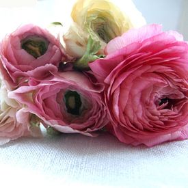 roze en witte ranonkels  van Nicolet Reus