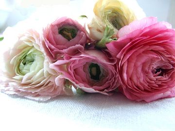 roze en witte ranonkels  van Nicolet Reus