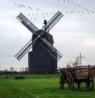 Paltrockwindmühle