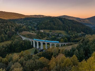 Zug auf dem Novina-Viadukt in Tschechien von Ewold Kooistra