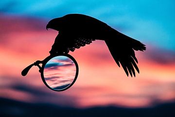 Silhouet van vogel in lucht van Art & Soul Creations