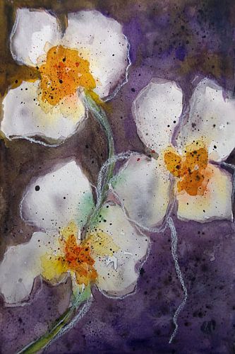 Orchid flower by Christine Nöhmeier