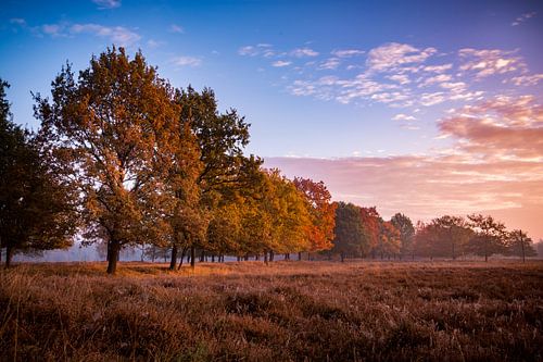 Herfstkleur