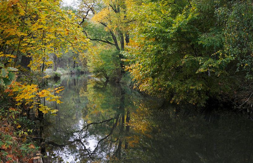 Spreewald von Thomas Jäger
