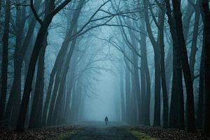 Dark Magic