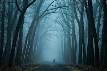 Dark Magic von Martin Podt