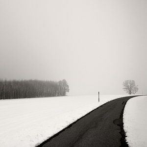 Kurve In Snow