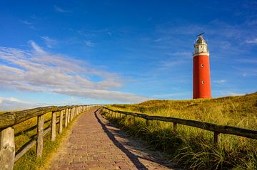 Texel lighthouse in the dunes during a calm autumn afternoon by Sjoerd van der Wal