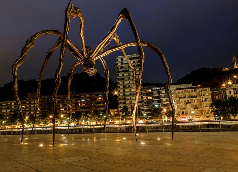 L'araignée de Bilbao par Ineke Huizing