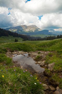 Blick auf das Hohgant-Gebirge von Ken Costers