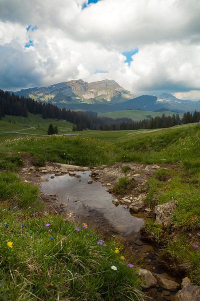 View over Hohgant mountains by Ken Costers