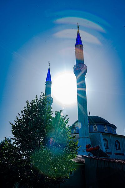 blauer Cami von Roland's Foto's