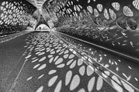 Parkbrug