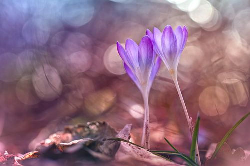 The power of a touch