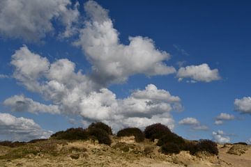 Zandverstuiving met heide van Bernard van Zwol