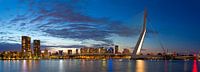Panorama Erasmusbrug