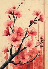 Fleurs de cerisier sur Lae