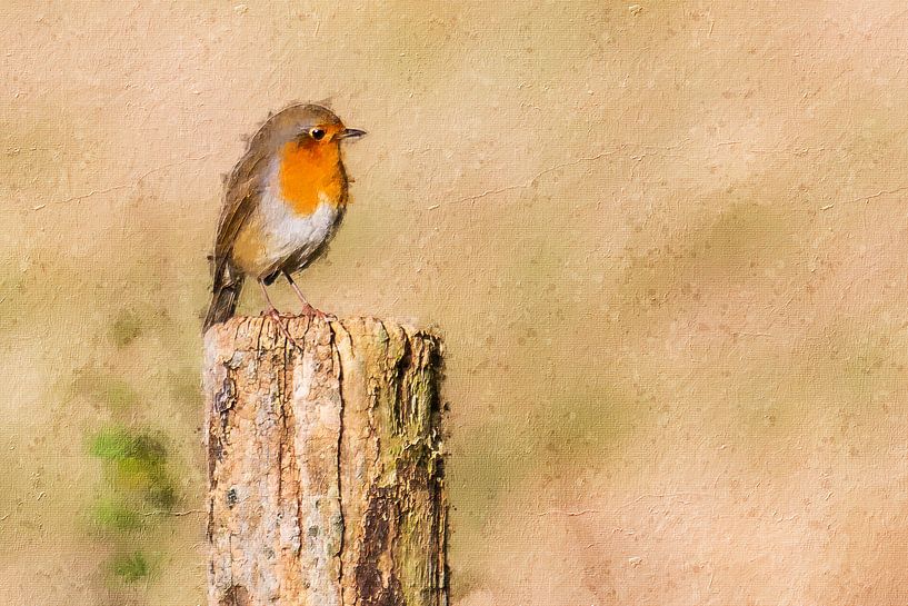 Robin schaut nach links (Gemälde) von Art by Jeronimo