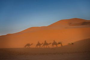 Caravaan met Dromedarissen in de Marokkaanse woestijn van Rene Siebring
