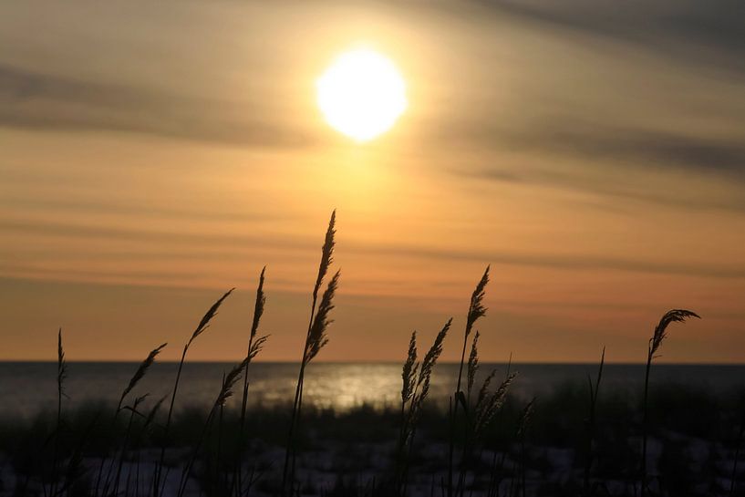 Romanticism on the Baltic Sea beach by Thomas Jäger