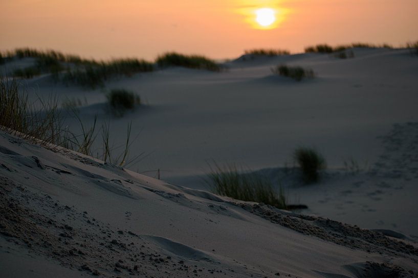Texel dunes by Helga Schimmel