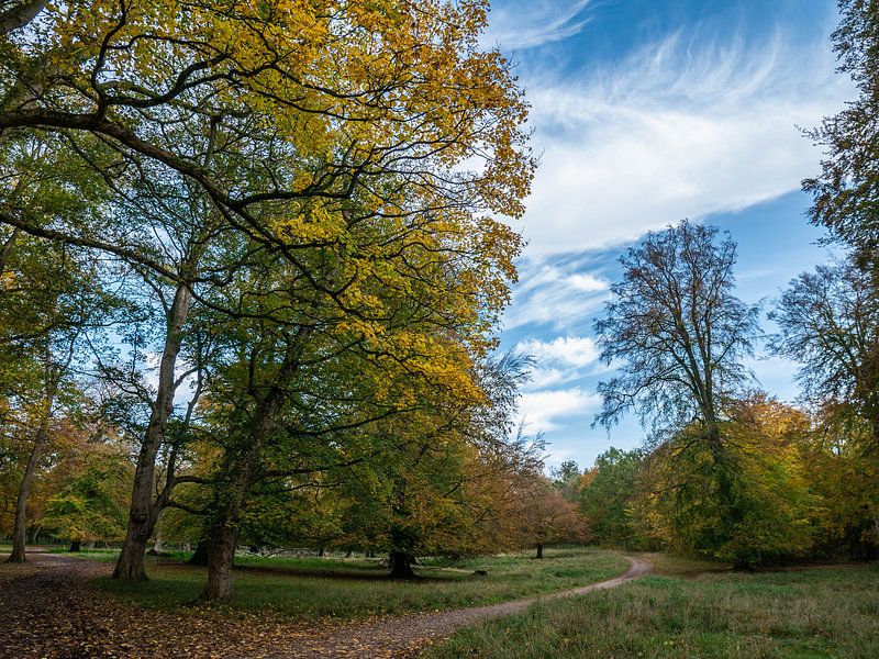 Forêt par Maxpix, creatieve fotografie